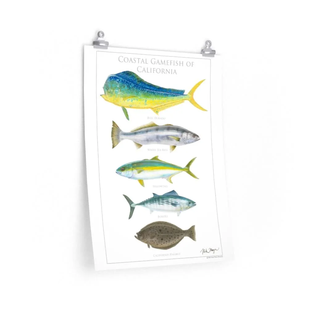 Coastal Gamefish of California Poster